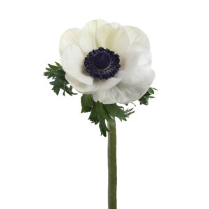 white anemones flower, spring wedding flower