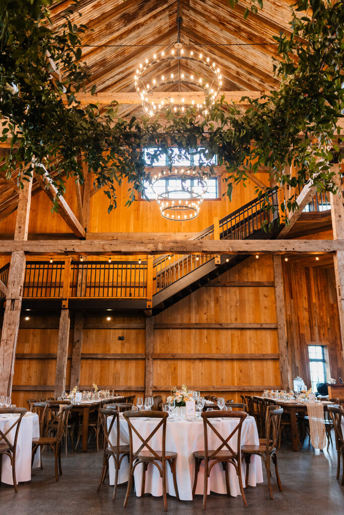 Greenery hanging installation from the ceiling. 